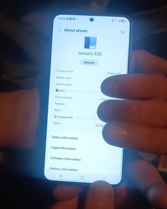 Samsung Galaxy S25 