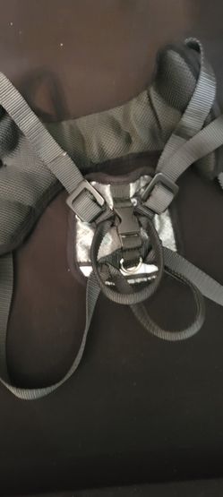 Dog Seat Belt Harness 