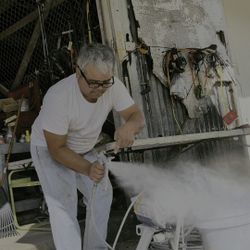 Paint Sprayer Machine 