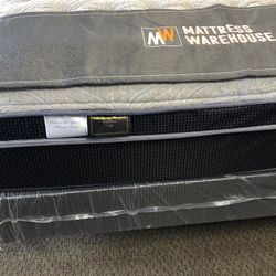 Plush Mattresses