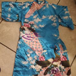 Beautiful Peacock Robe