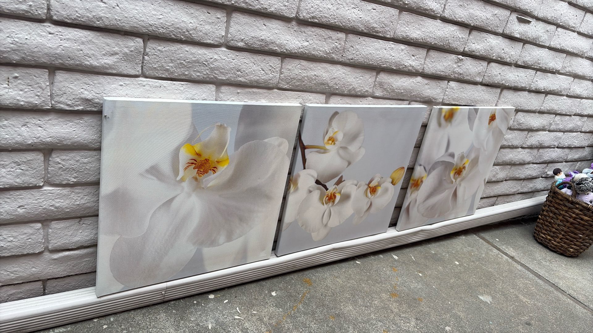 Set Of 3 Orchid Pictures Wall Art 22”square