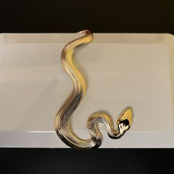 Kilian Gold Snake Clutch - The Dawn - Couture - Paris - New Never Used