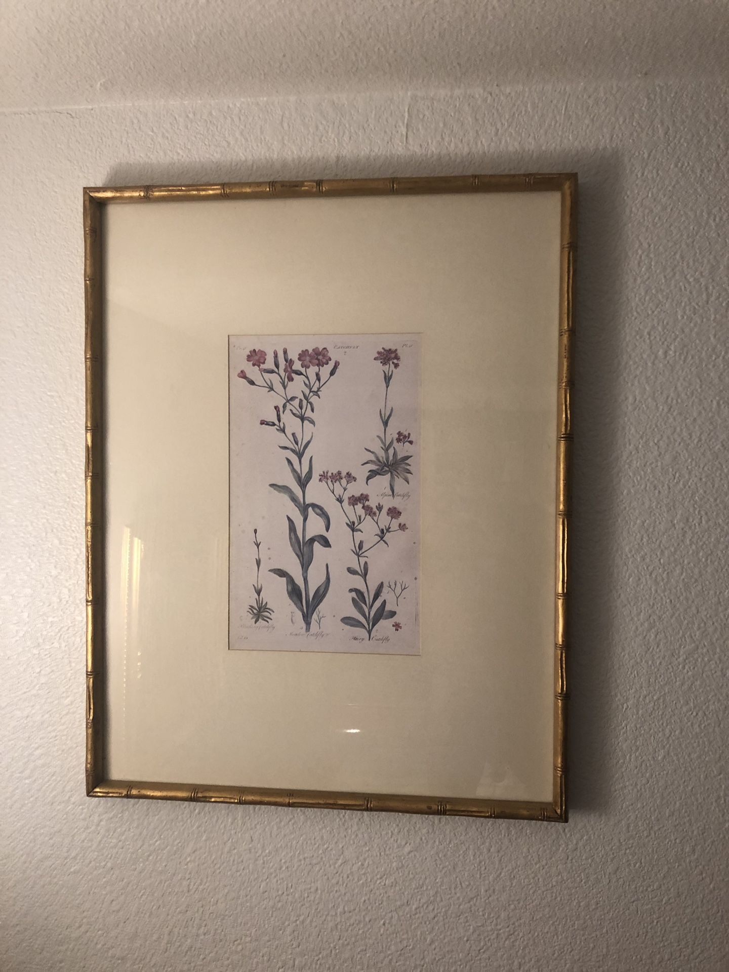 Gold wall frame