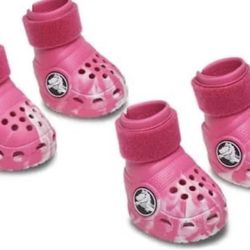 CROCS for Dog