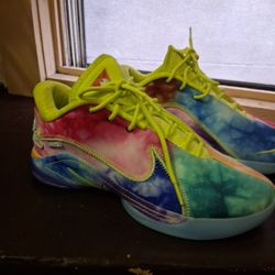 LeBron 19 "Monopoly" Size 10.5