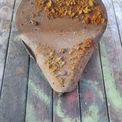 Harley-Davidson  Fart   Seat 59 Panhead