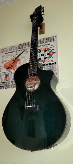 Breedlove Rainforest S Concert PA CE