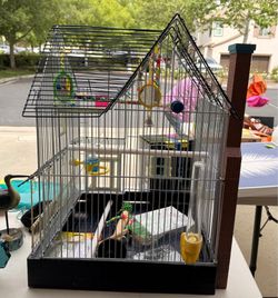 Bird Cage