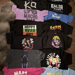 Lot of 26 wrestling tees/t-shirts 2XL