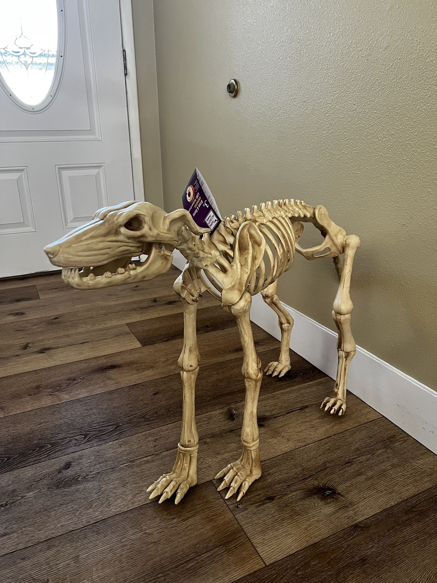 Animated Skeleton Dog