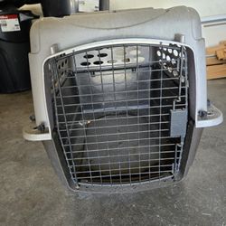 Pet Kennel 