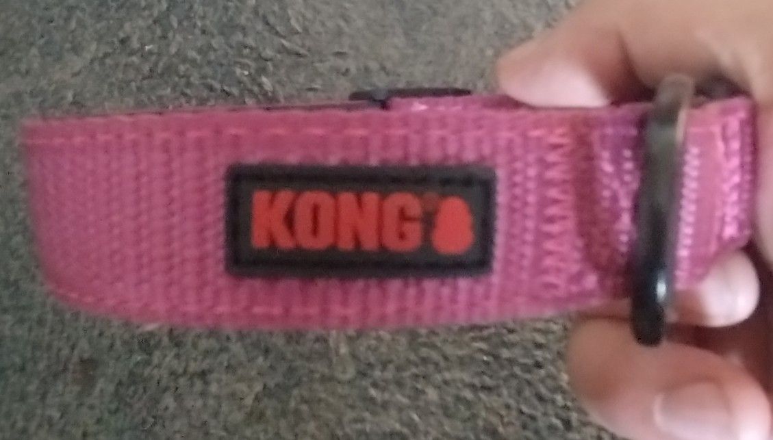 Dog Collar/Harness