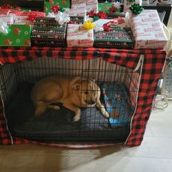 XL Dog Crate