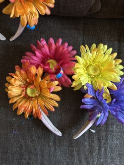 Fiesta Daisy’s Flower Crown