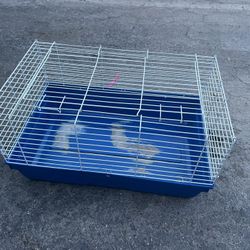 Jaula Para Ginéa Puig