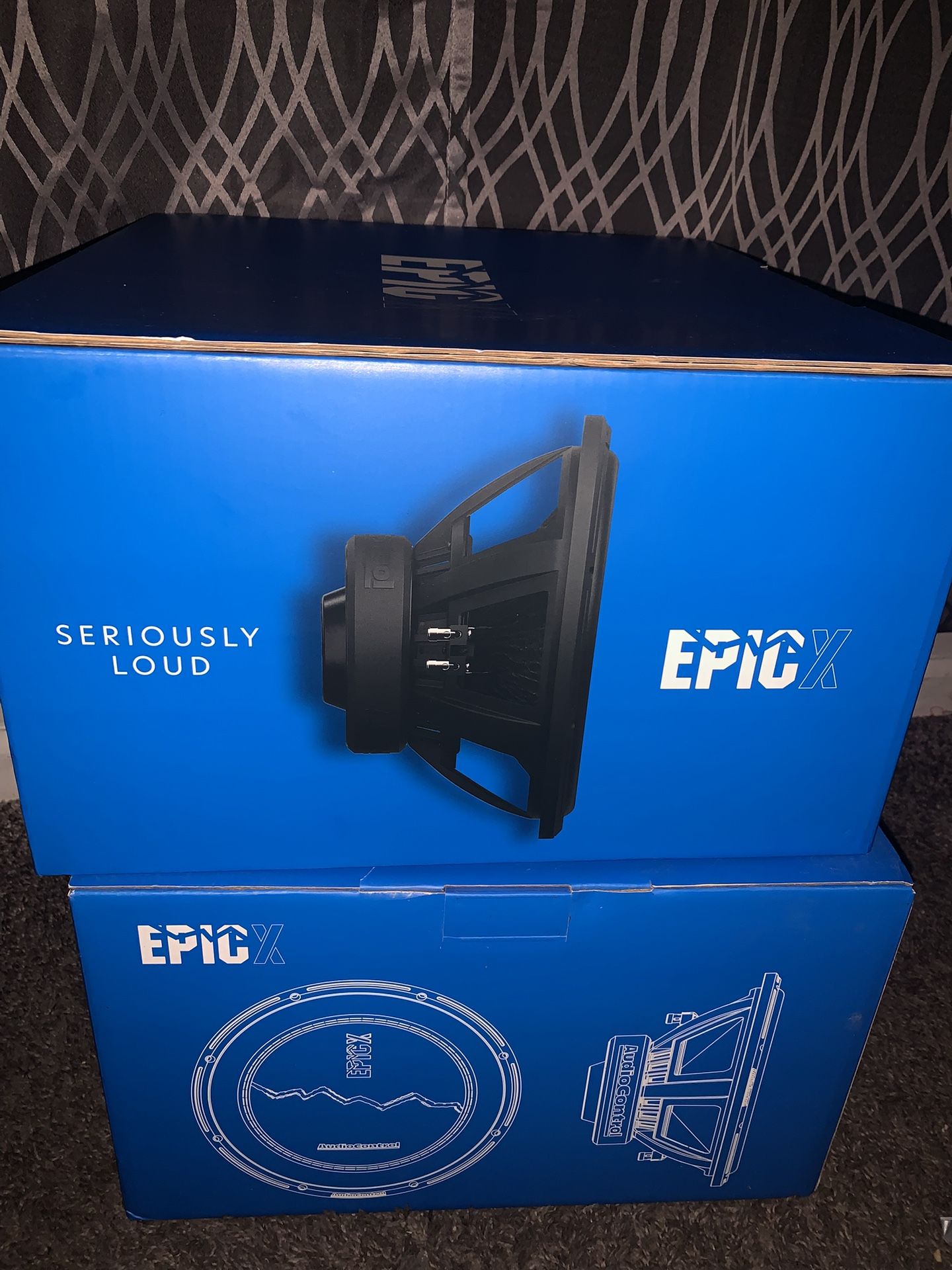 2 12” Epic X Audio Control Soeakers With Epic