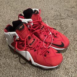 Vintage Nike Lebron 12s basketball shoes size 11