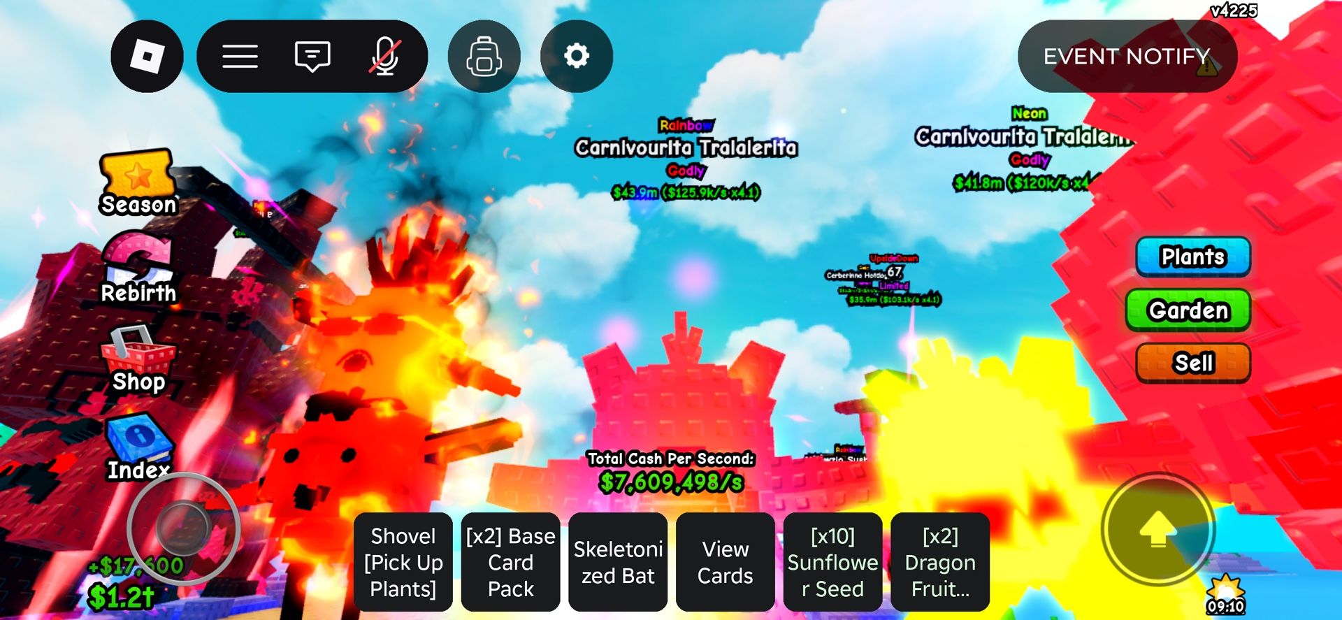 Carnivorous Rainbow 125k