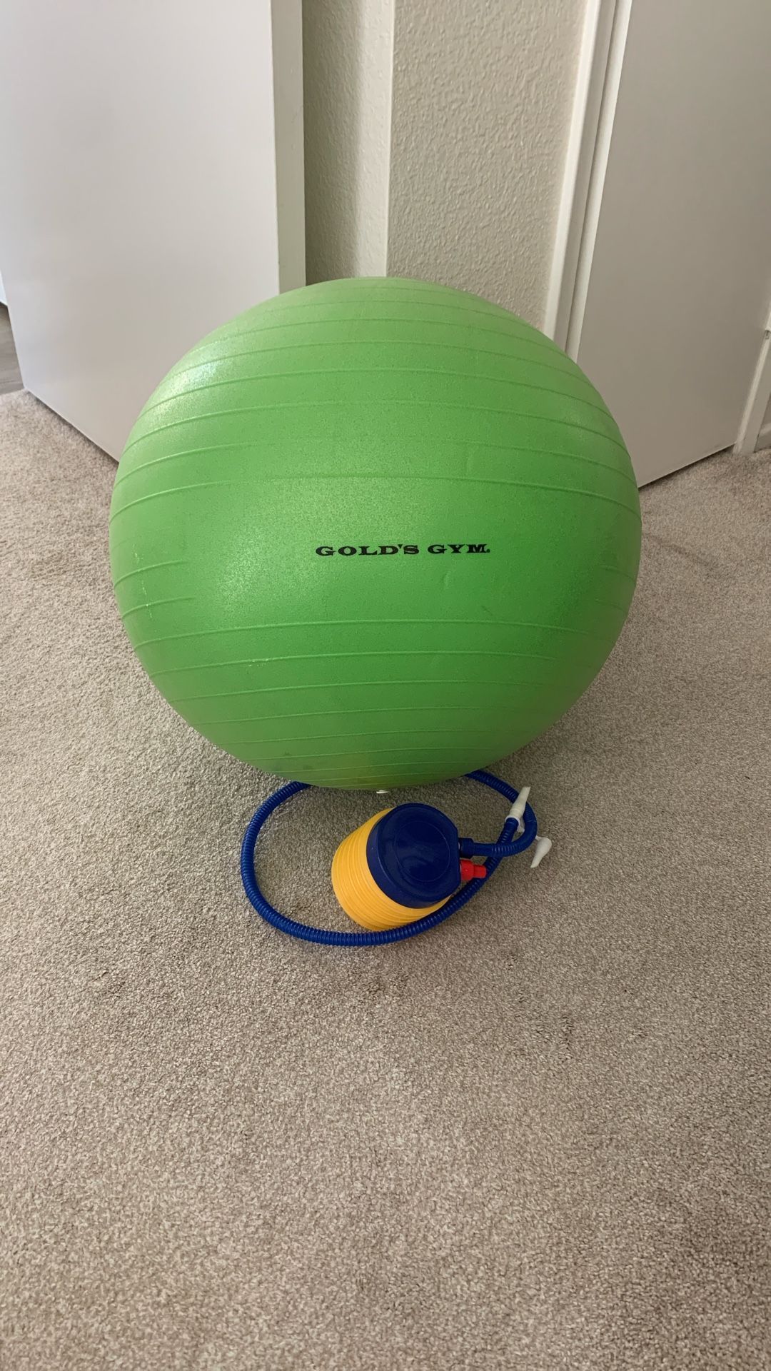 Gold Gym Exercise Ball
