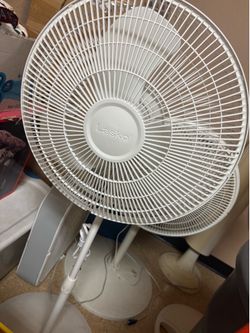 Fans