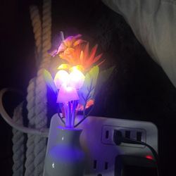 $25 pick up in Brooklyn new York 

All 8 Dream night light led