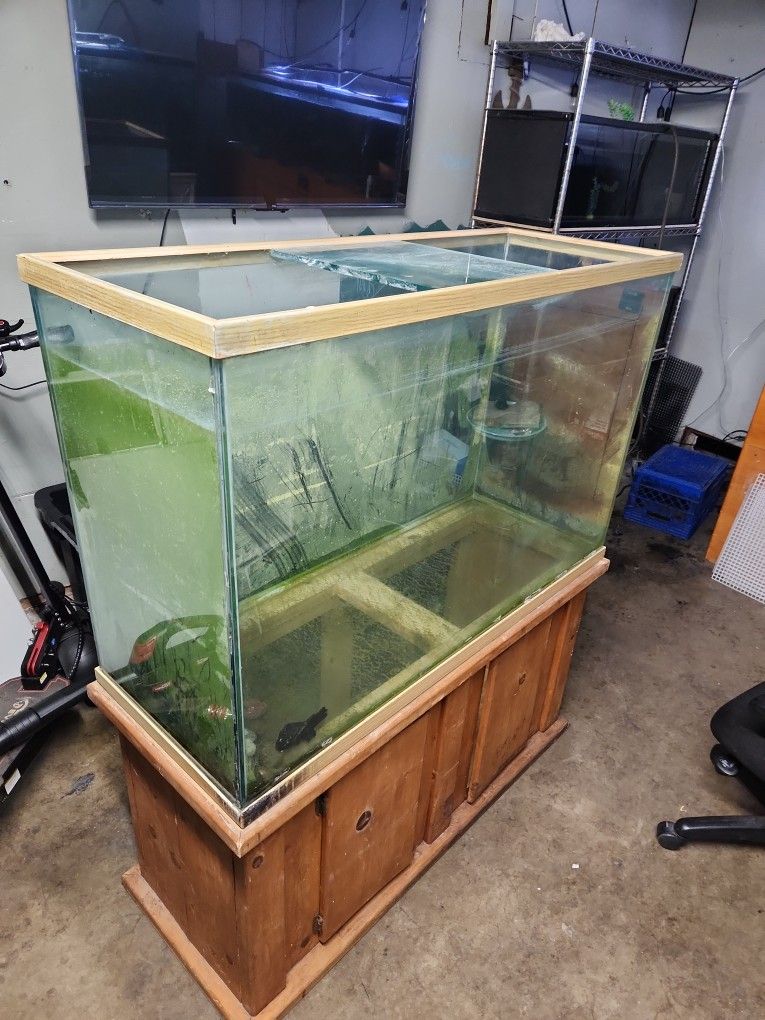 Fish Tank