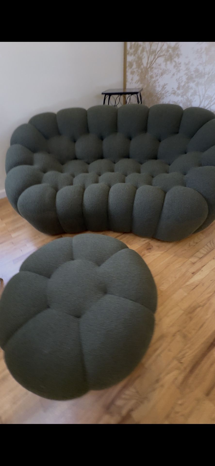 Modern Love Seat Bubble Couch & Foot Stole
