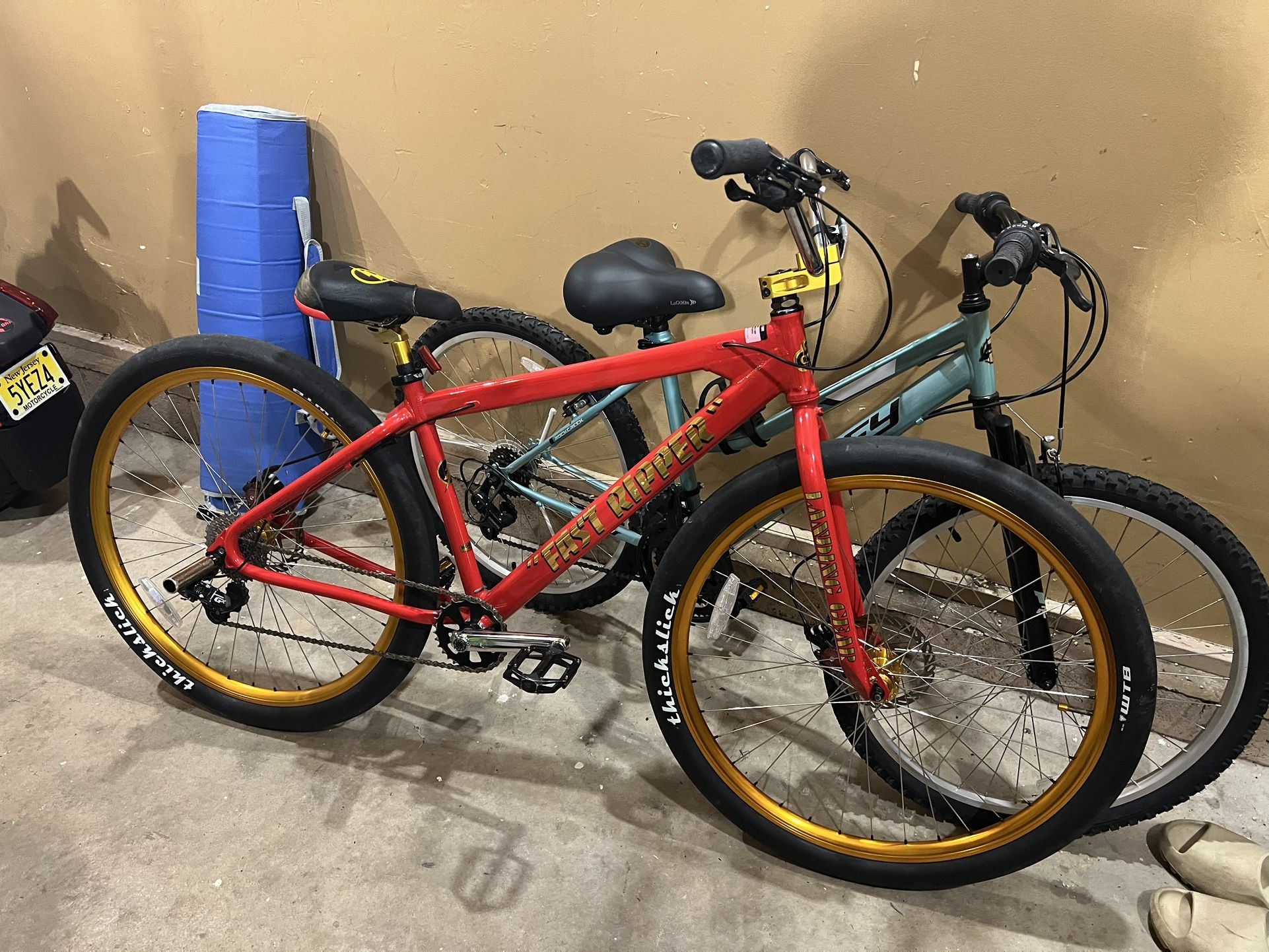 She Bike Fast Ripper