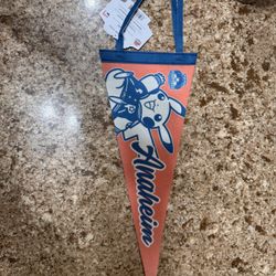 2025 Pokemon World Championship Anaheim flag