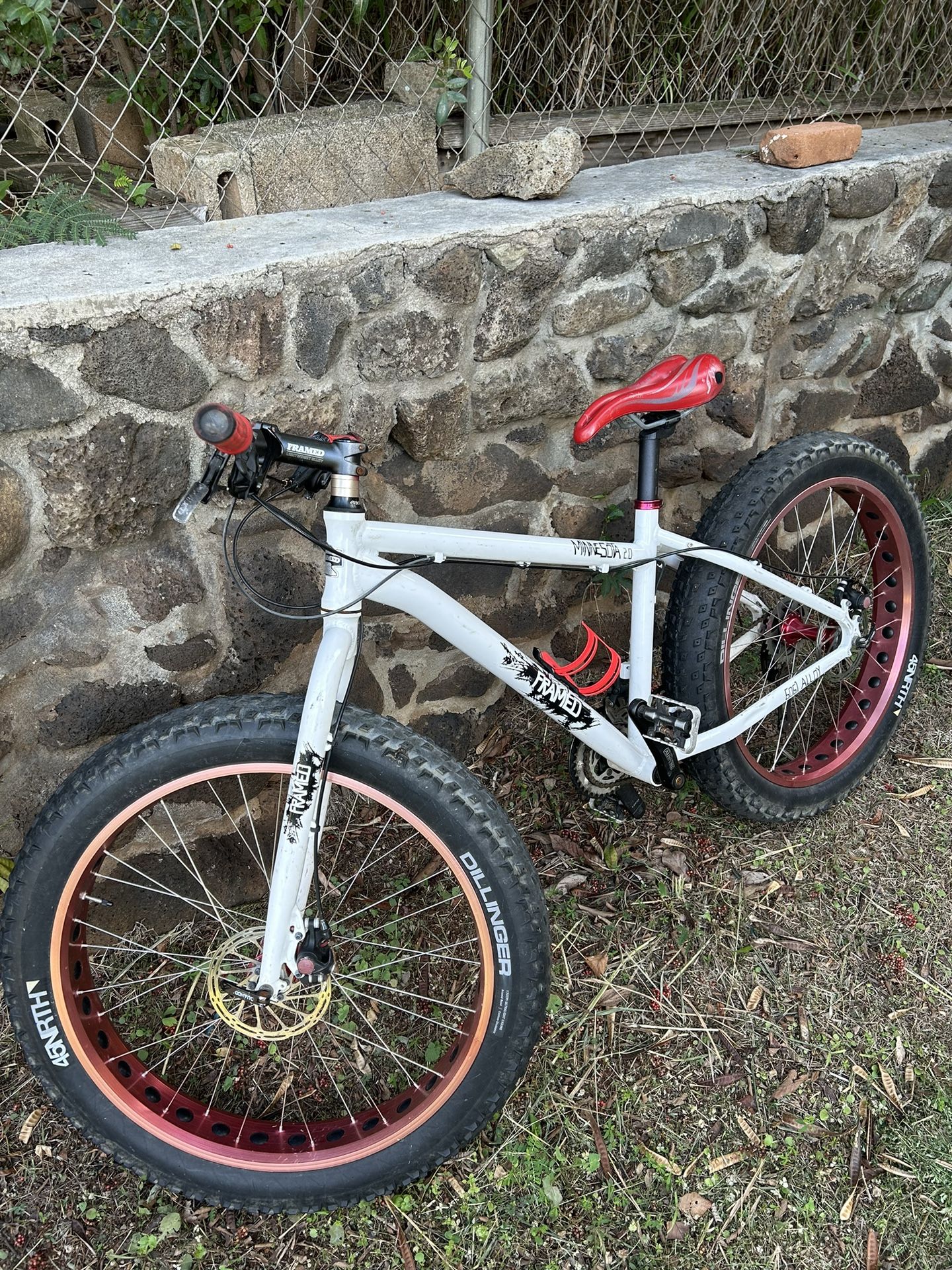 Framed Fat Tire Bike