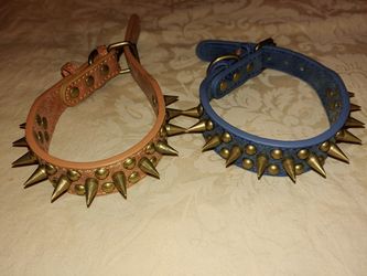Bike dog leashes size small