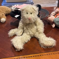 Boyd’s Bear Cat