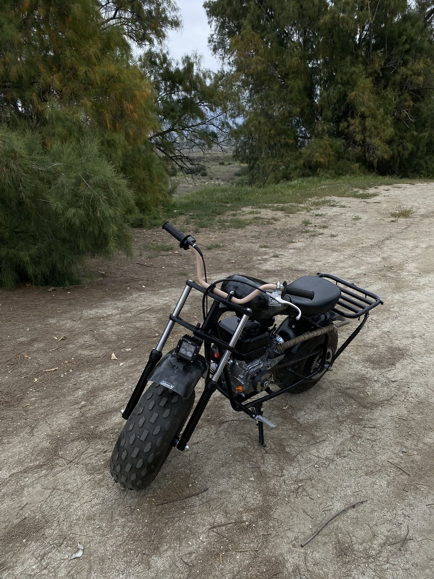 Mini Bike