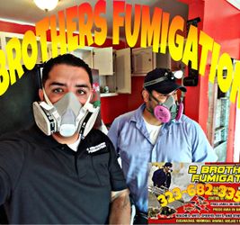 Fumigar su cosina o hogar