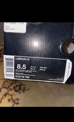 Kings Pride Lebron 11s