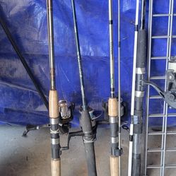 Fishing Rods With Reela