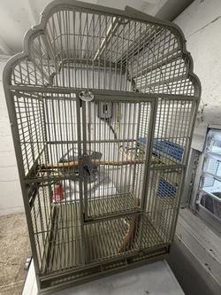 A&E Cage Company Victorian-style Open top, Large Bird Cage. XL Parrot Cage