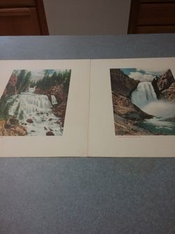 Yellowstone Pictures