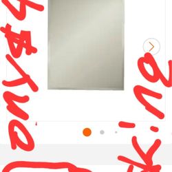 Medicine Cabinet with
Beveled Edge Mirror. Horizon 16 in. W x
26 in. H x 4-3/4 in. D
Frameless 