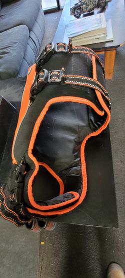 Dog Life Vest M