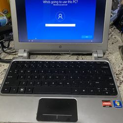 Ultra-Light HP Laptop W/ Window 10 & New BATTERY 