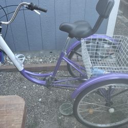 Tricycle, Purple With Basket And Bell