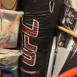 UFC 100Lbs  Punching Bag