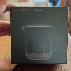 Beats Powerbeats Pro Charging Case 