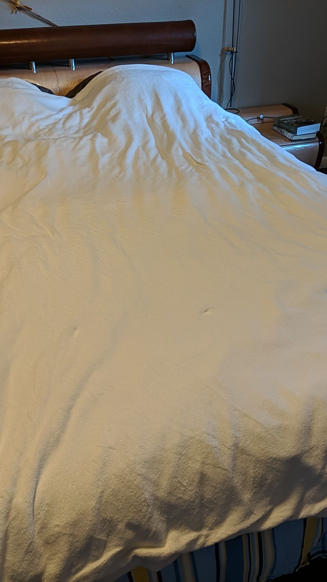 Twin plush heated blanket