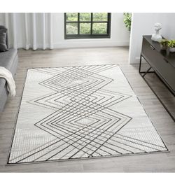 8/10 Brand New Modern Rug 