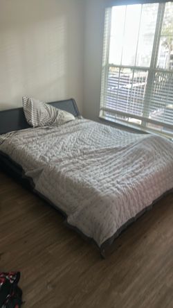 Bed/ Bedframe