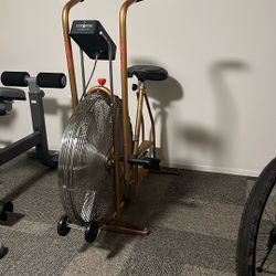 Schwinn  Airdyne. 