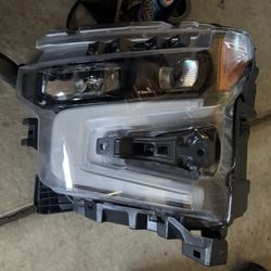 Zr2 Headlight 2024 